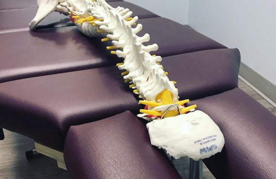 Guelph rehab centre physiotherapy massage therapy chiropractic back pain Dr. Shannon Webster